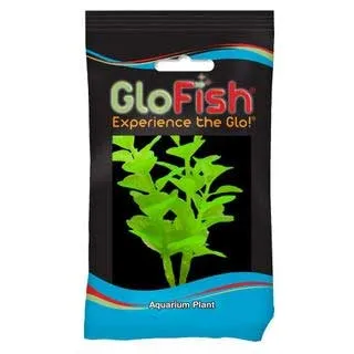 Glofish 6" Moneywort Plant - Electric Green