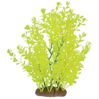 Lindernia Plant Ornament Neon Green 9 Inch