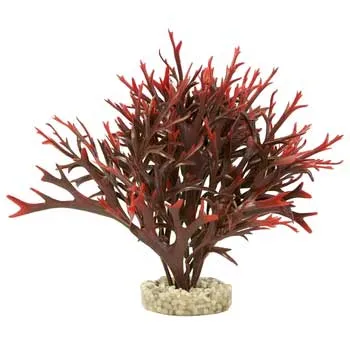 Gravel Base Plant Large Water Fern Red3