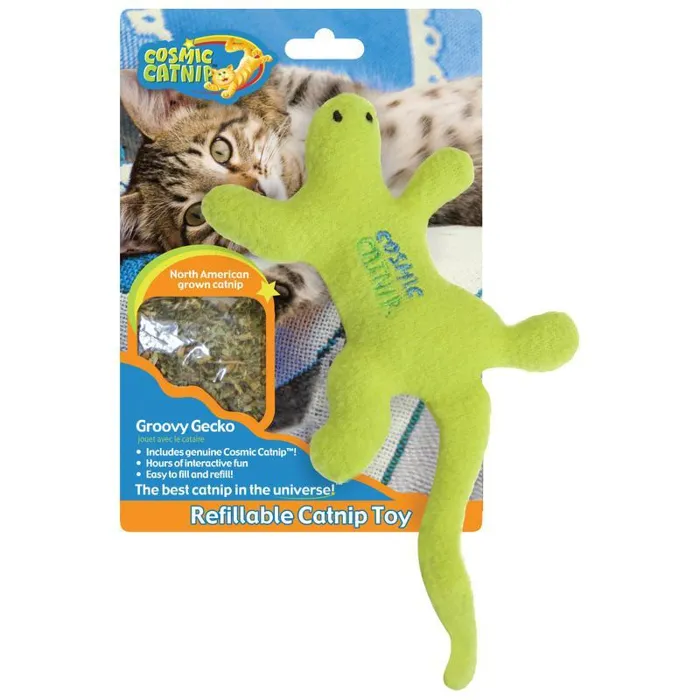 Cosmic Lizard- Groovy Gecko Multi