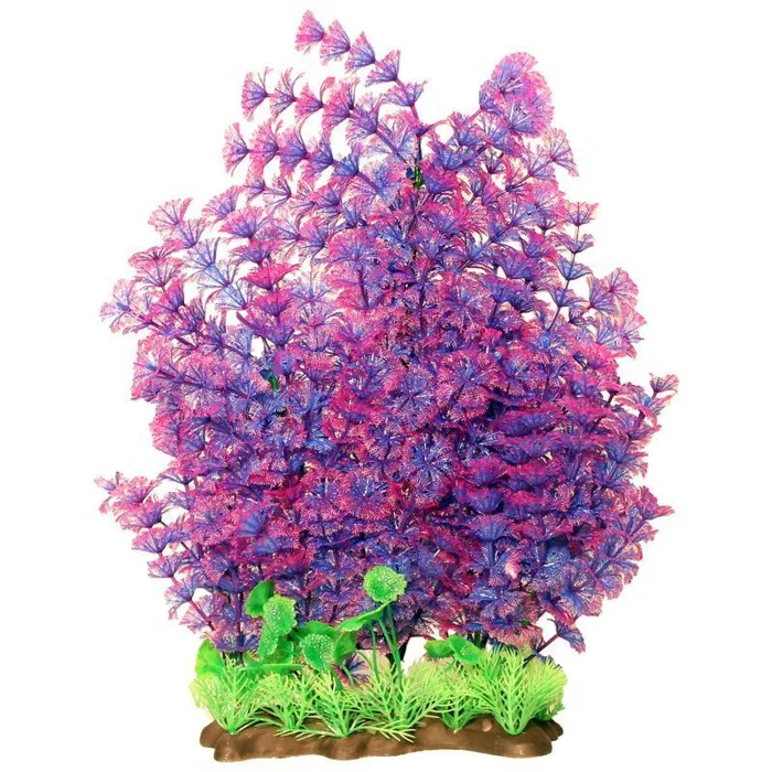Extra Wide Bushy Ambulia Aquarium Plant Purple 16 Inch;