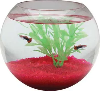 Aqua Accents Round Glass Bowl One Gallon