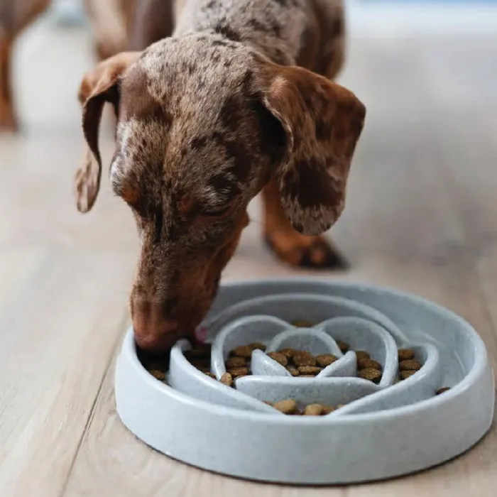 Messy Mutts Slow Feeder Speckled 1.75 Cup