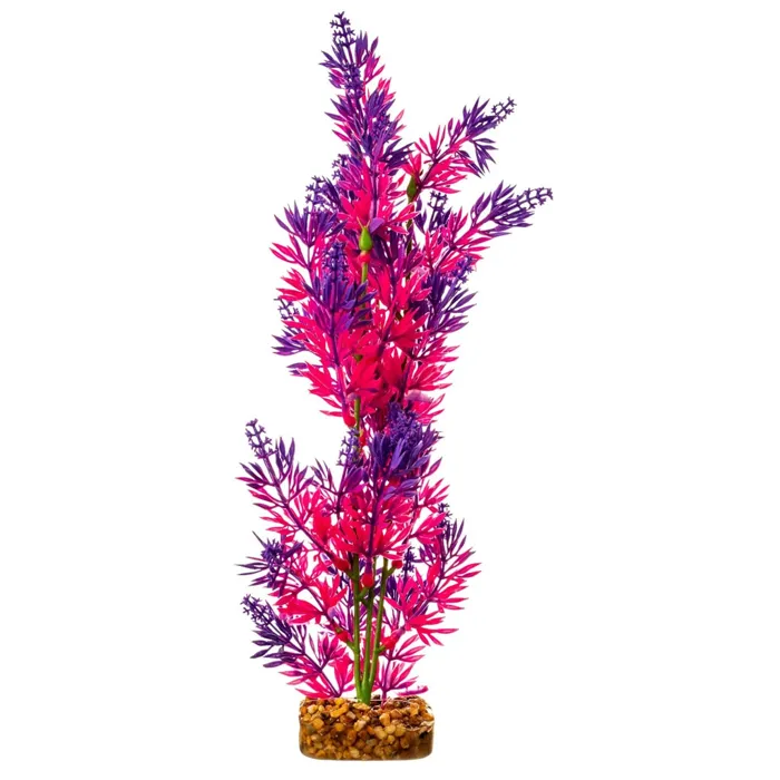 Tet Plnt Glofish Flo Pr/pk Lg;