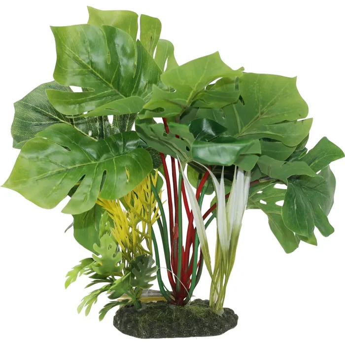 Ble Plnt Split Leaf Philo Gn;