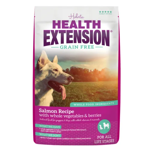 Grain Free Salmon Recipe Dry Dog Food 10-lb