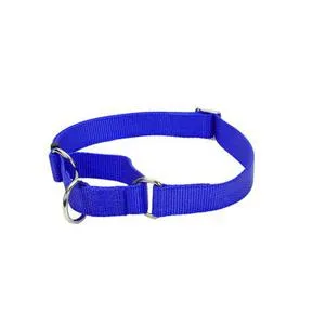 Martingale Adjustable Dog Collar, Blue, 5/8" X 10"-14"