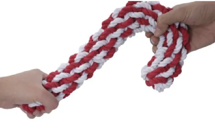 Territory Holiday Dog Toy Candy Cane Braided Rope
