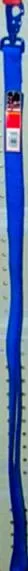 Nylon Double Lead 1"x6'-blue