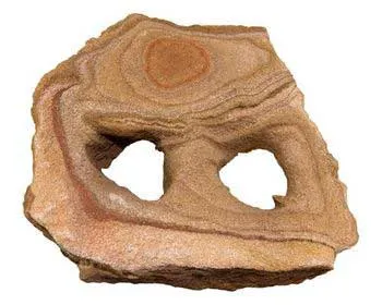 Estes Carved Rainbow Medium