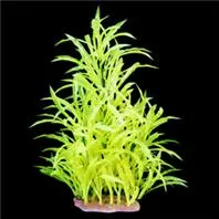 Potamogeton Layered Aquarium Bush Neon Gr 16-18"