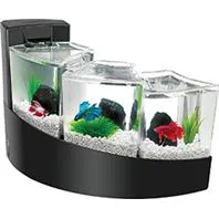 Aqueon Kit Betta Falls Black 2 Gallon