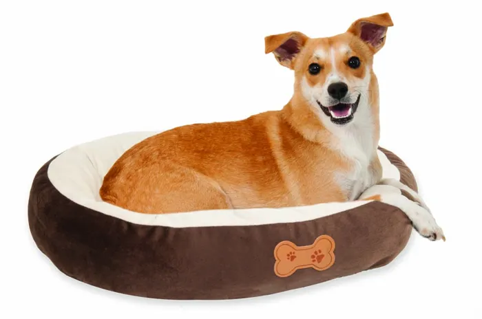 Oval Brown Bed 20"x16"