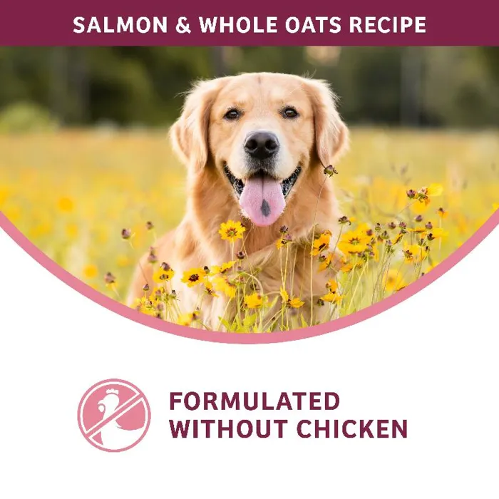 Fromm Sensitive Skin Stomach Salmon Oat 26lb