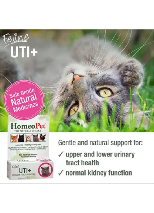 Homeopet Urinary Tract Infection For Cats 15ml
