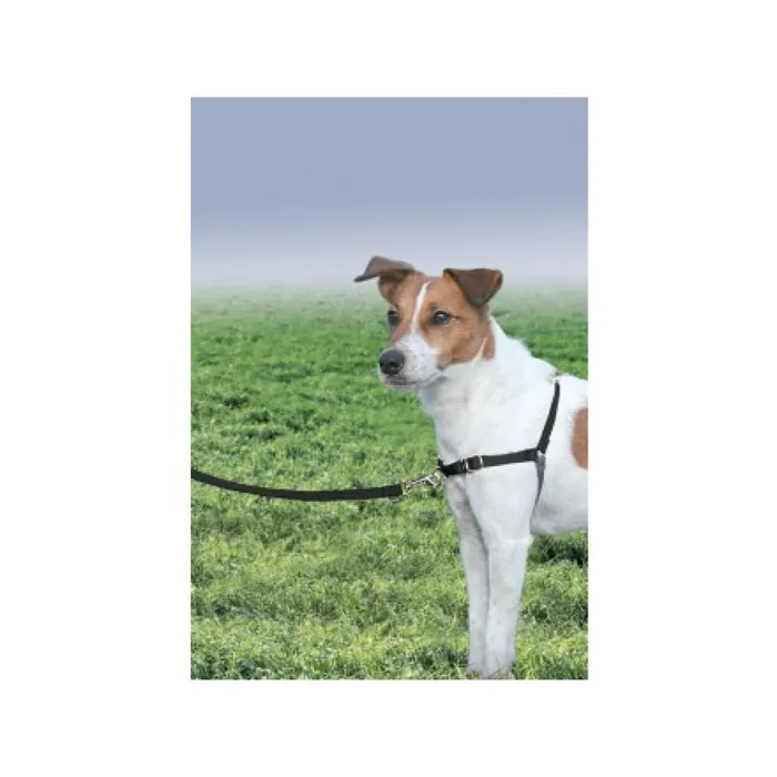 Easy Walk Harness, No Pull Dog Harness Petite / Small Black