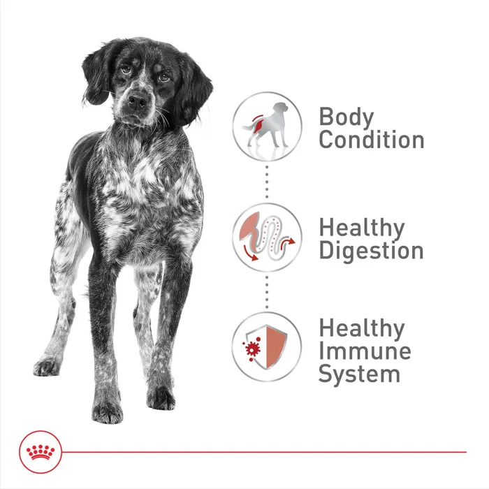 Royal Canin Medium Adult dog food health benefit guide