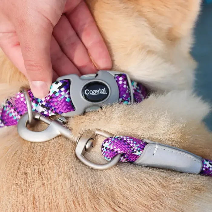 Pro Active Woven Reflective Collar Rope Leash