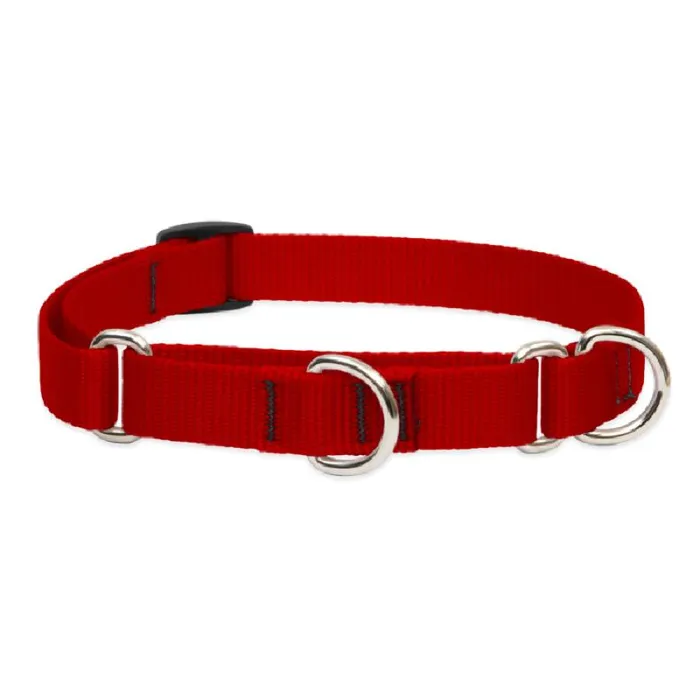Lupine Martingale Collar 3/4" Red 14-20"