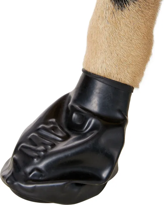 Waterproof Dog Boots, Black, 12 Count Small