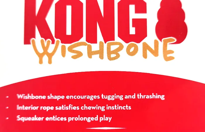 DISC Kong Wishbone Asst Dog Toy Med
