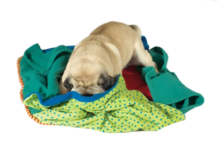 Petstages Toy Mini Dog Blanket