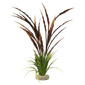 Gravel Base Plant Atoll Grass Plant Red Green