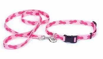 Nylon Pattern Lead 5/8"x4'-pink Ribbon