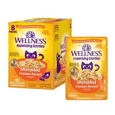 Appetizing Entrées Shredded Chicken Recipe In Sauce - 1.4oz