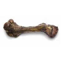 Sw Part Monster Bone