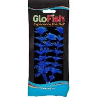 Tetra Glofish Cosmic Blue Ambulia 9"