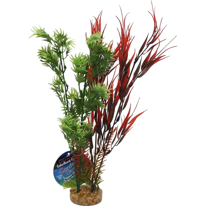 Gravel Base Plant Wild Mountain Plant Red