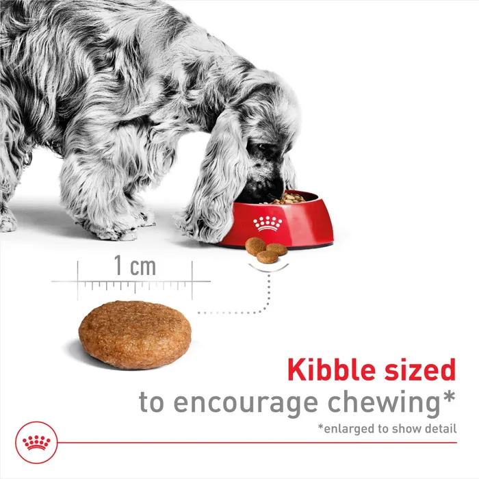 Royal Canin Medium Adult dog food kibble size guide
