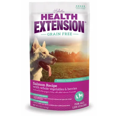 Grain Free Salmon Recipe Dry Dog Food 10-lb