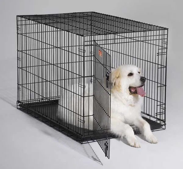 I-crate Single Door Folding Dog Crate 48"x30"x33"
