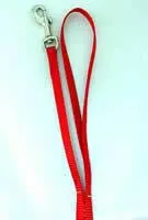 Nylon Lead 5/16"x6'-red