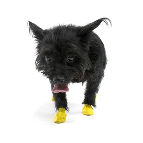 Waterproof Dog Boots, Yellow, 12 Count 2x-small