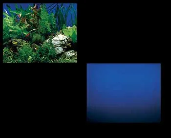 Doublescene 19" Blue Coral/blue Sea