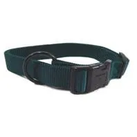 Adjustable Dog Collar Hunter Green 1"x18-26"