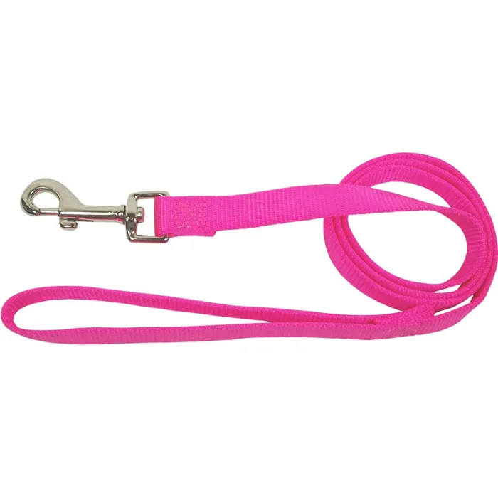 Single Loop Nylon Lead With Swivel Snap 1"x4'