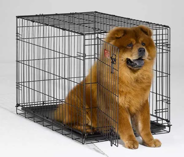 I-crate Single Door Folding Dog Crate 36"x23"x25"