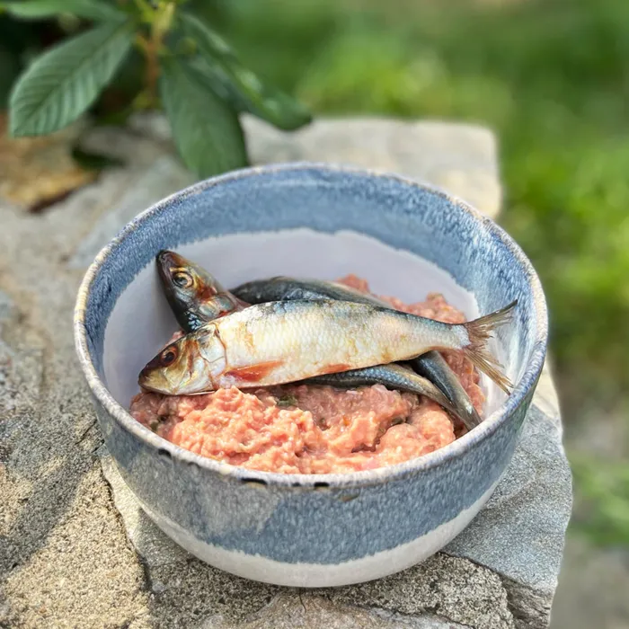 Oma's Pride Raw Frzn Whole Sardines 1lb