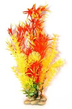 Zan Orange / Red Hornwort Plant 15"