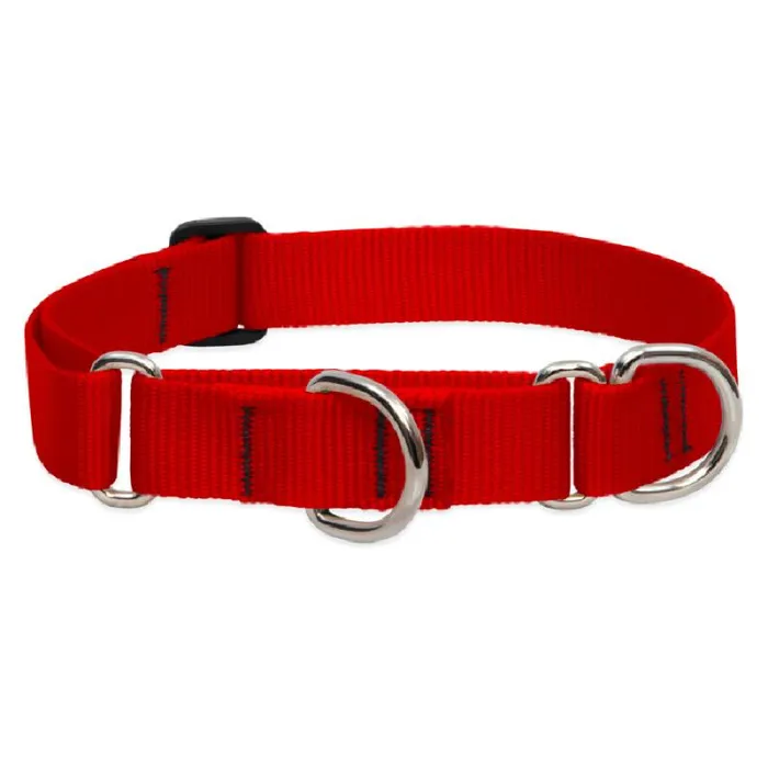 Lupine Martingale Collar 1" Red 19"-27"