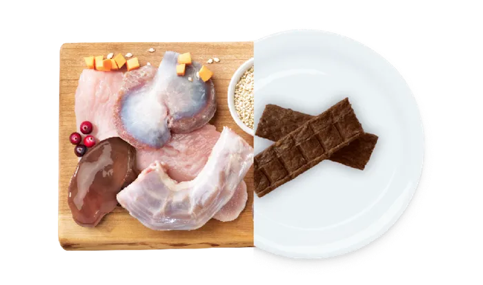 Earth Animal Wisdom Jerky Holiday Feast 4oz
