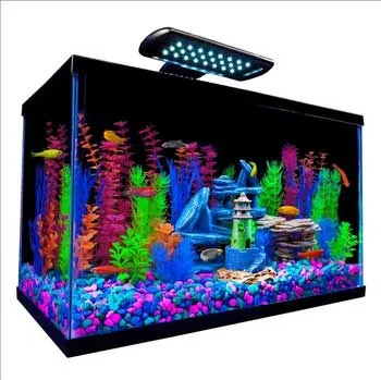 Pf Tetra Glofish Kit 10 Gallon