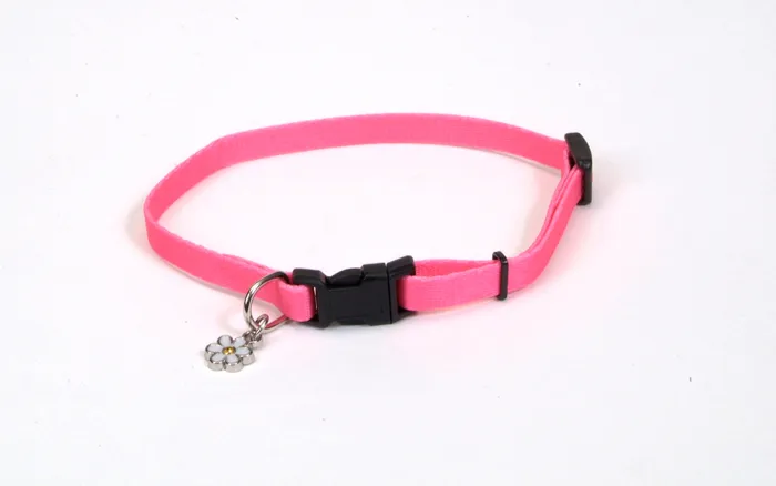 Adjustable Dog Collar, Neon Pink, 3/8" X 06"-08"