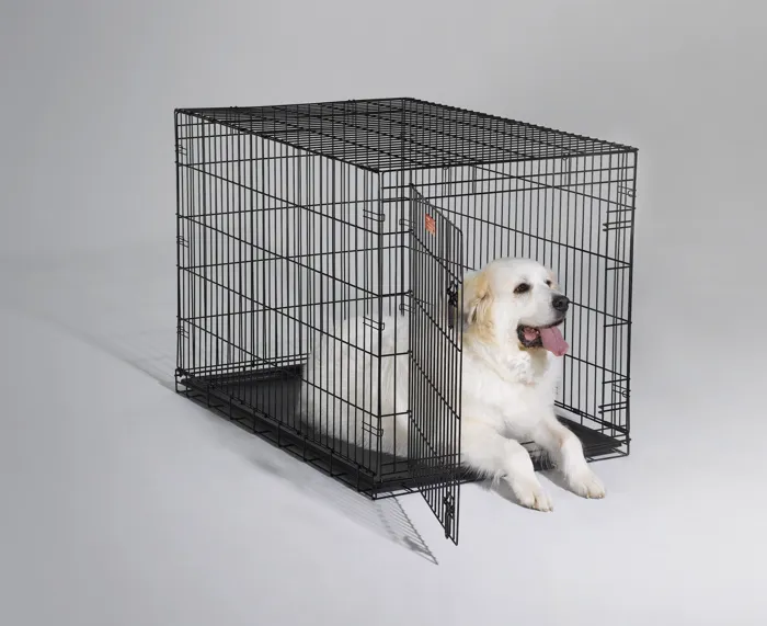 I-crate Single Door Folding Dog Crate 48"x30"x33"