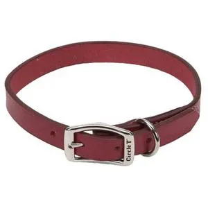 Oak Tanned Leather Town Dog Collar, Red, 1" X 18"