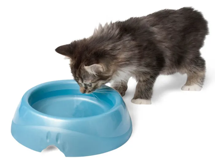 Ultra Light Weight Dish Twin Medium 2 Cup